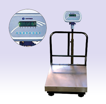 Platform Scales